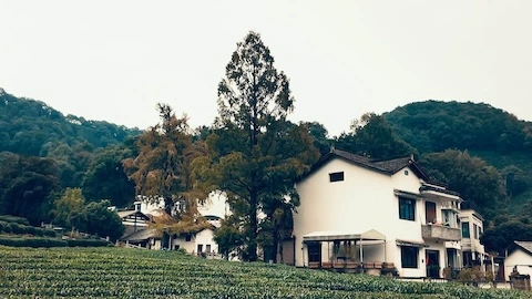 性空图1