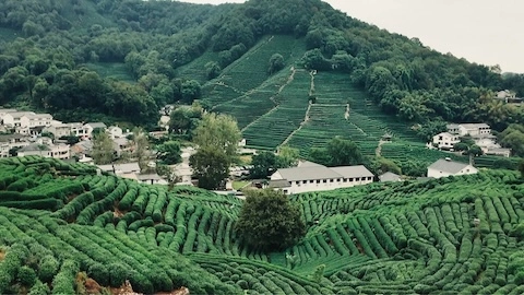 山声图1