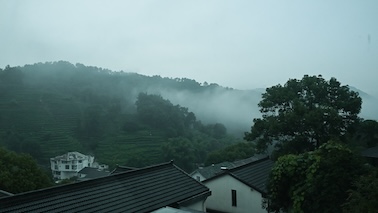 沐风图1