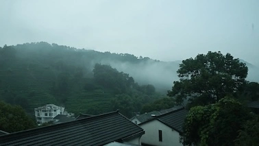 沐风图1